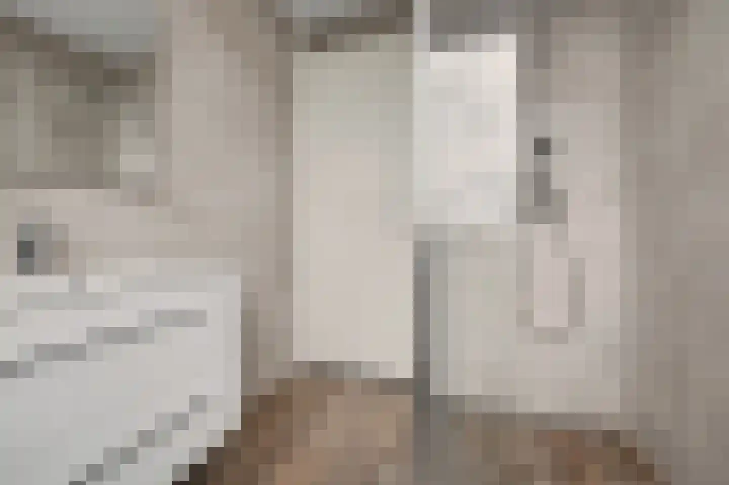 Theodorus Rijkenstraat 17 A Elshout thumbnail 13