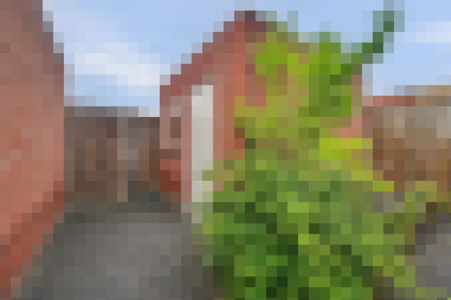 Theodorus Rijkenstraat 17 A Elshout thumbnail 23