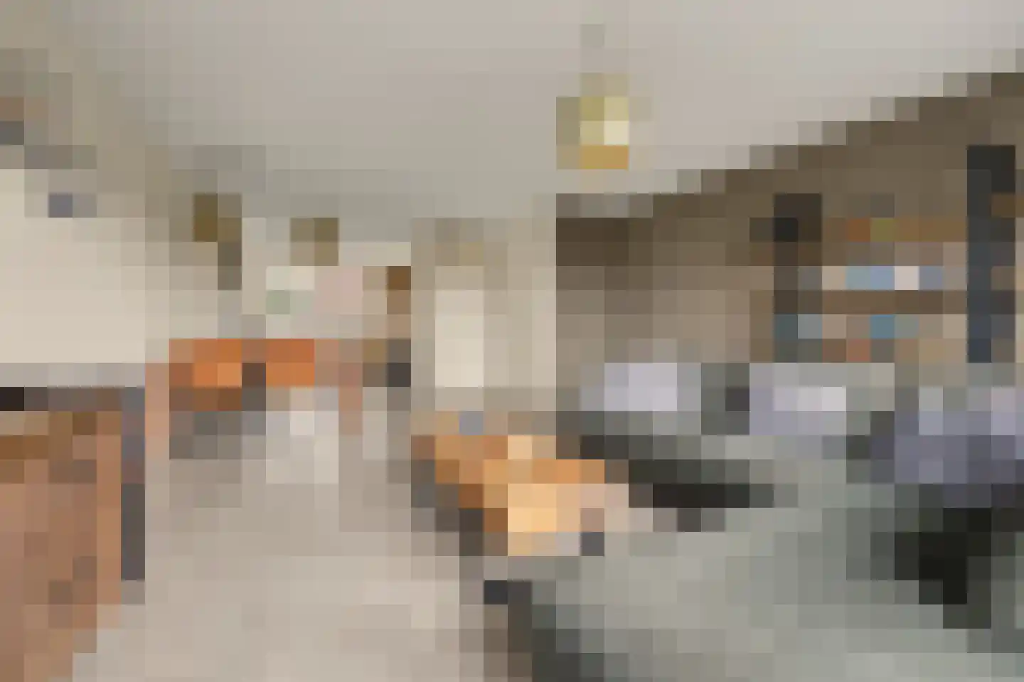 Theodorus Rijkenstraat 17 A Elshout thumbnail 4
