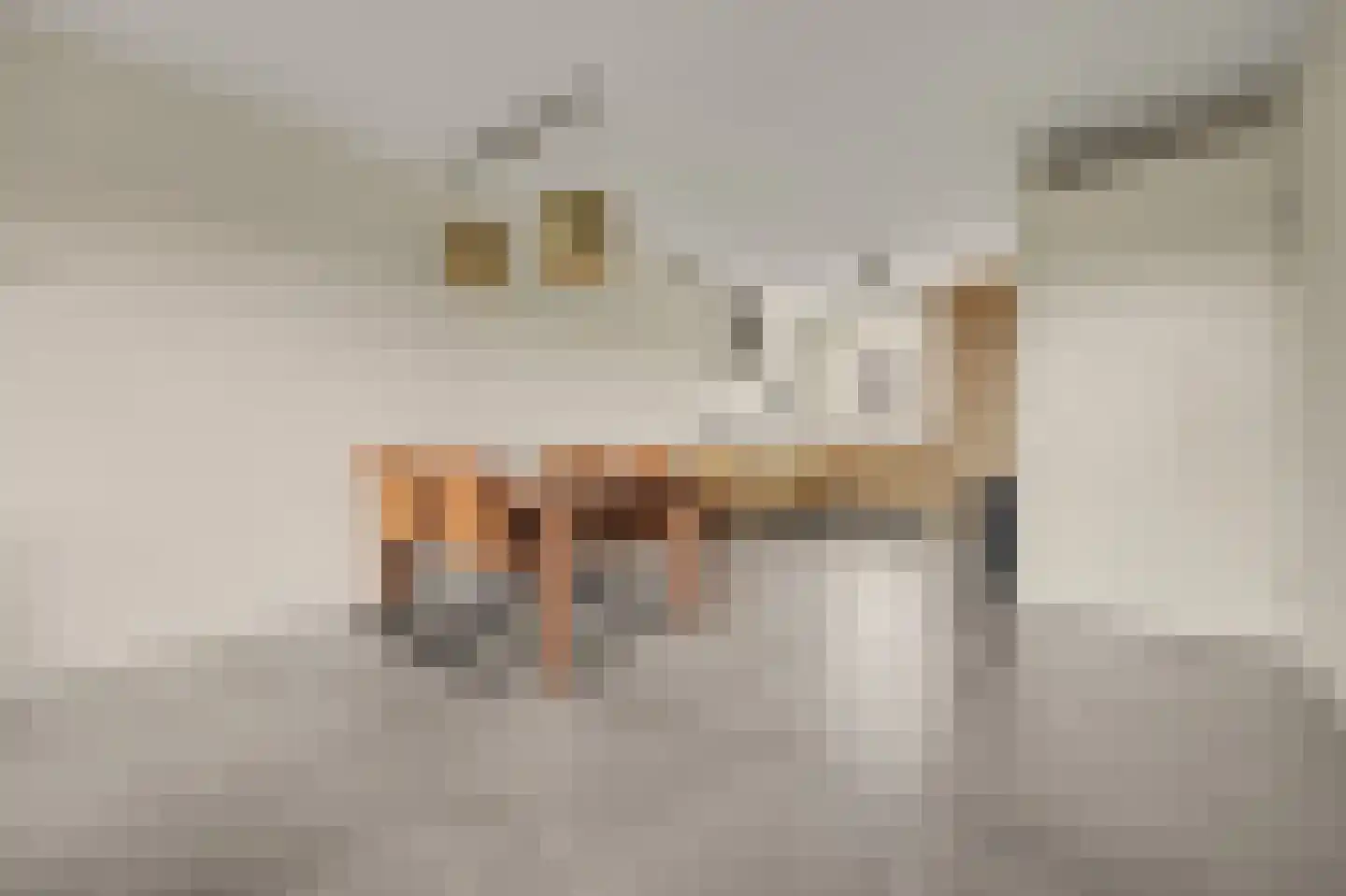 Theodorus Rijkenstraat 17 A Elshout thumbnail 5