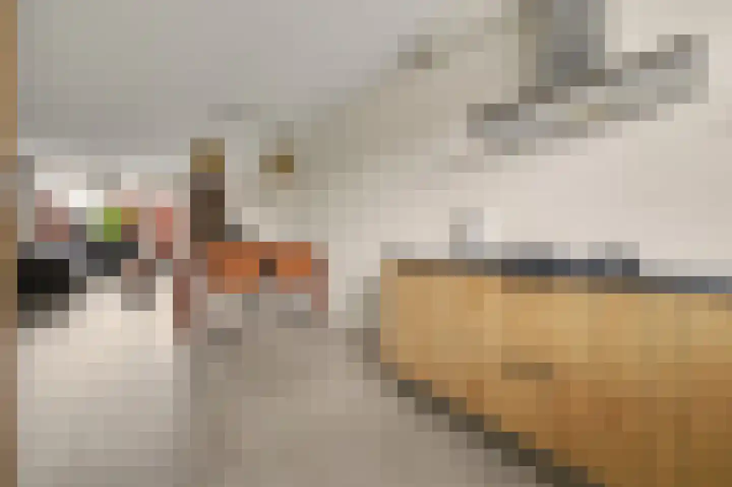 Theodorus Rijkenstraat 17 A Elshout thumbnail 6
