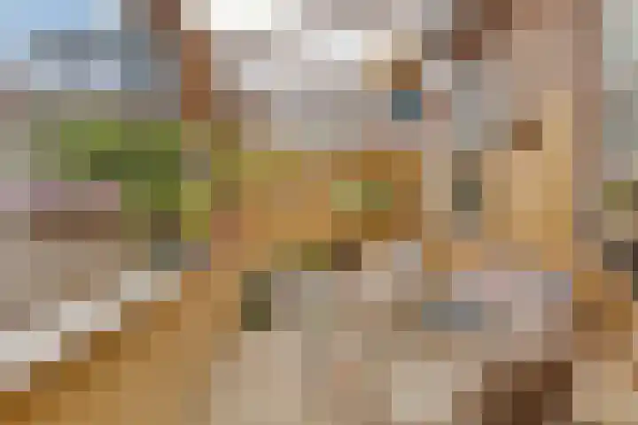 Theodorus Rijkersstraat 63 Den Helder thumbnail 18