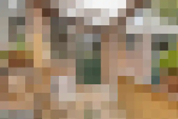 Theodorus Rijkersstraat 63 Den Helder thumbnail 19