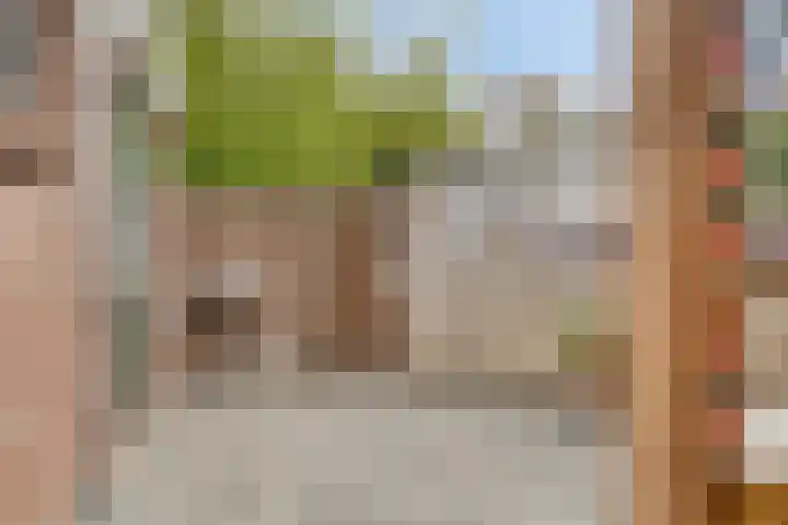 Theodorus Rijkersstraat 63 Den Helder thumbnail 20