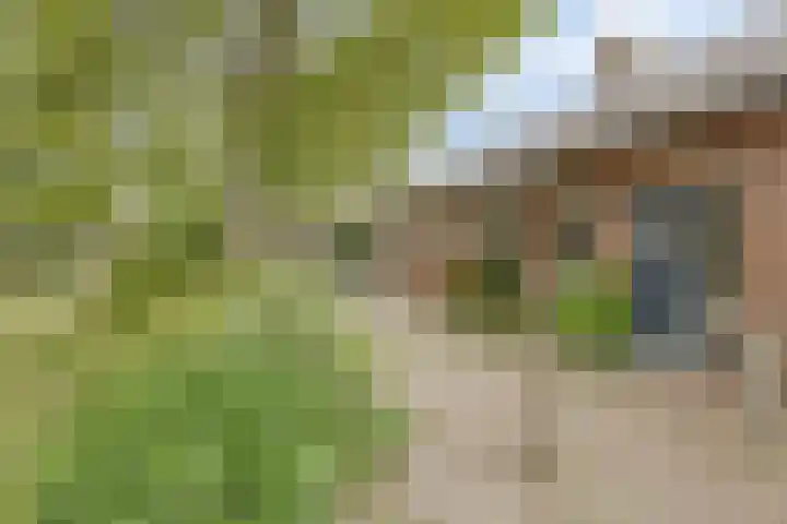 Theodorus Rijkersstraat 63 Den Helder thumbnail 23