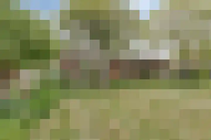 Theodorus Rijkersstraat 63 Den Helder thumbnail 5
