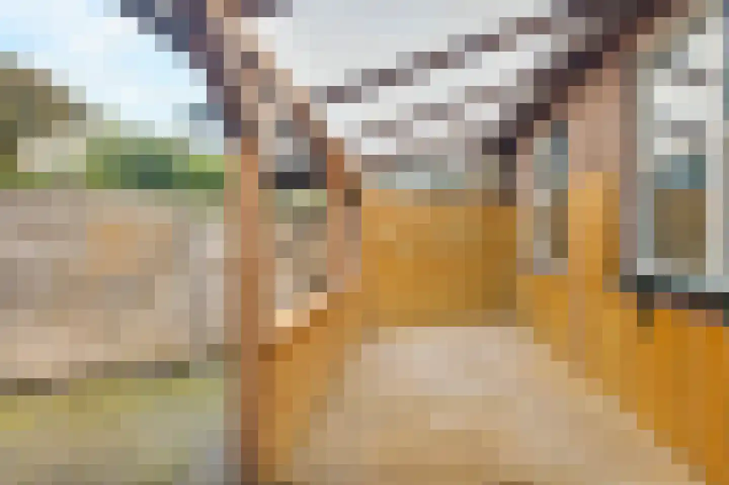 Theodorus Rijkersstraat 63 Den Helder thumbnail 5