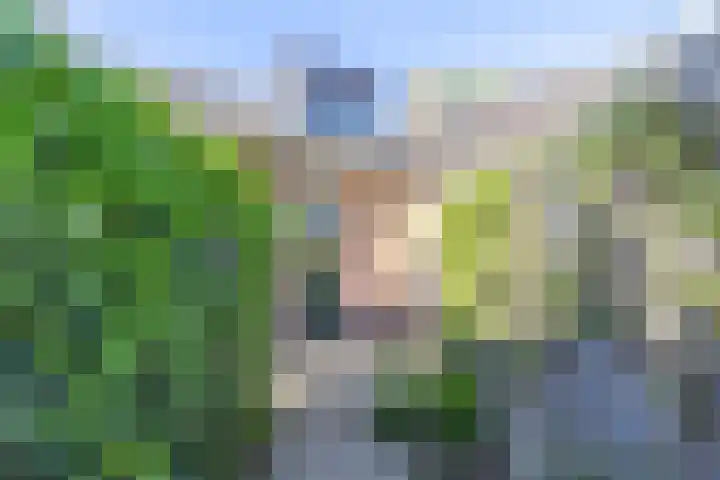 Theodorus Rijkersstraat 65 Den Helder thumbnail 21