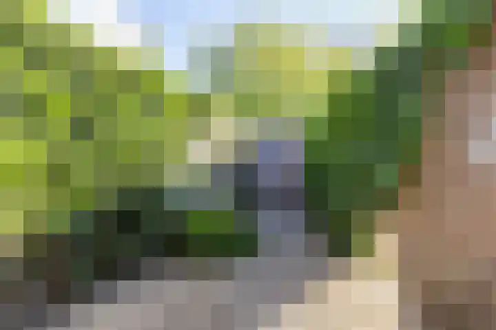 Theodorus Rijkersstraat 65 Den Helder thumbnail 26