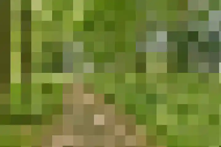Theologicum 2 Warmond thumbnail 20
