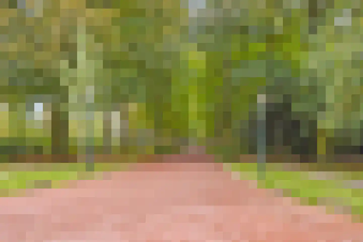 Theologicum 2 Warmond thumbnail 21