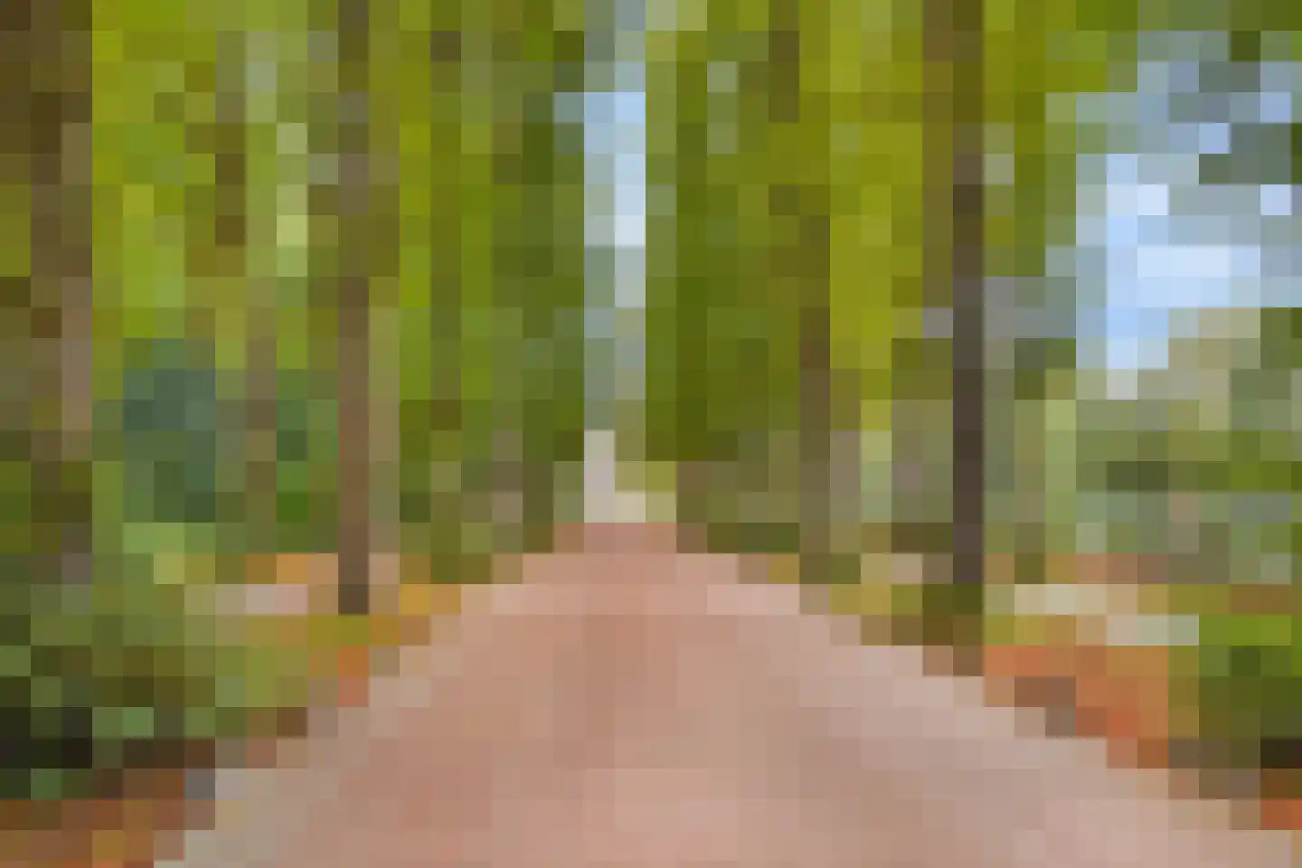 Theologicum 2 Warmond thumbnail 22