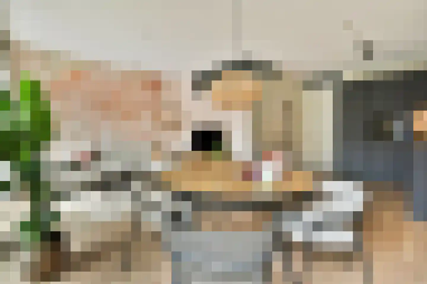 Theologicum 2 Warmond thumbnail 4