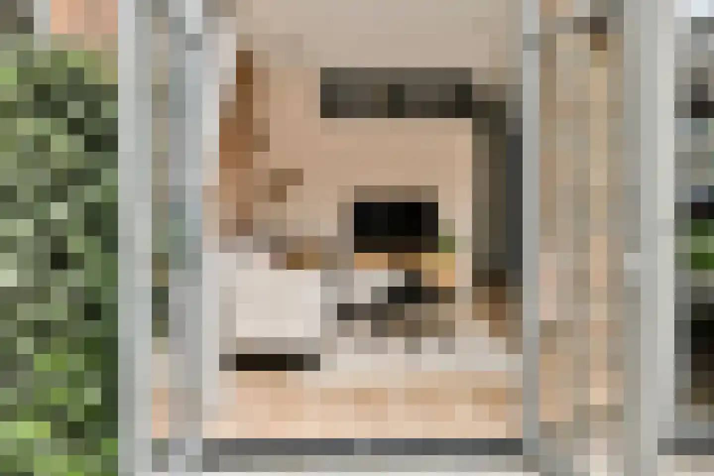 Theologicum 2 Warmond thumbnail 7