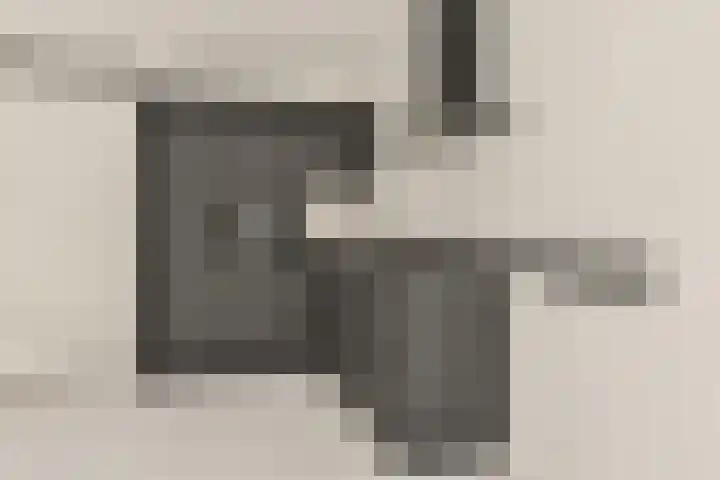 Theologicum 2 Warmond thumbnail 9