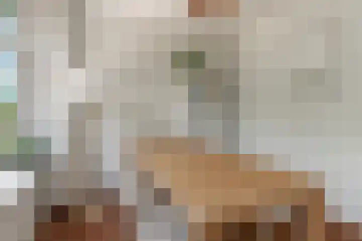 Theophile de Bockstraat 45 H Amsterdam thumbnail 9