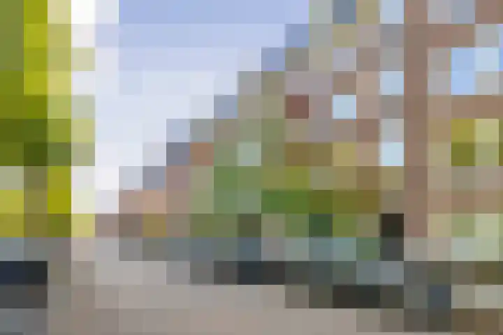 Theophile de Bockstraat 47 H Amsterdam thumbnail 28
