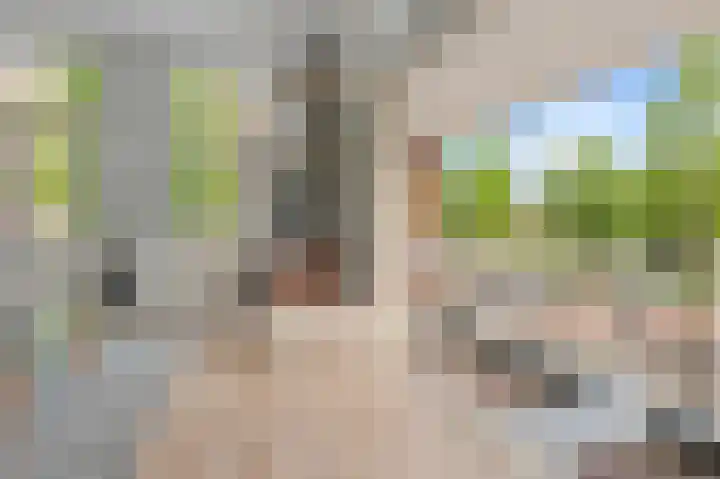 Theophile de Bockstraat 9 3 Amsterdam thumbnail 6
