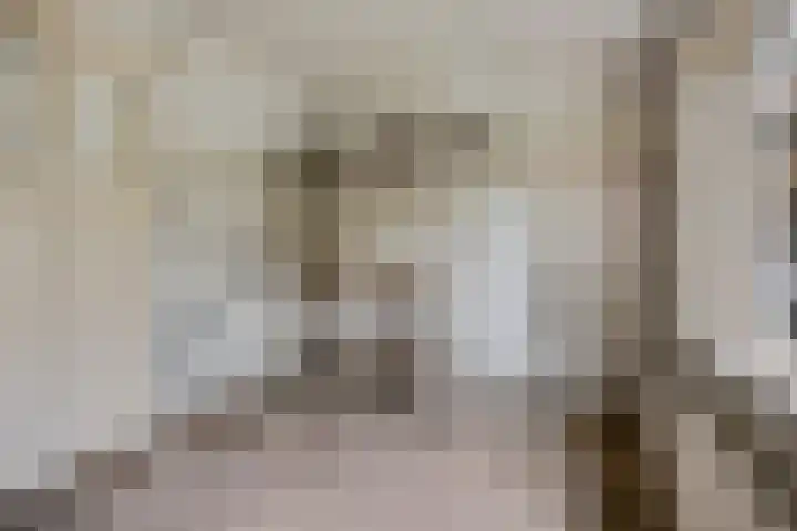 Theophile de Bockweg 1 Renkum thumbnail 25