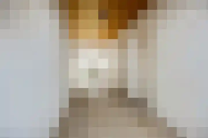 Theophile de Bockweg 1 Renkum thumbnail 31