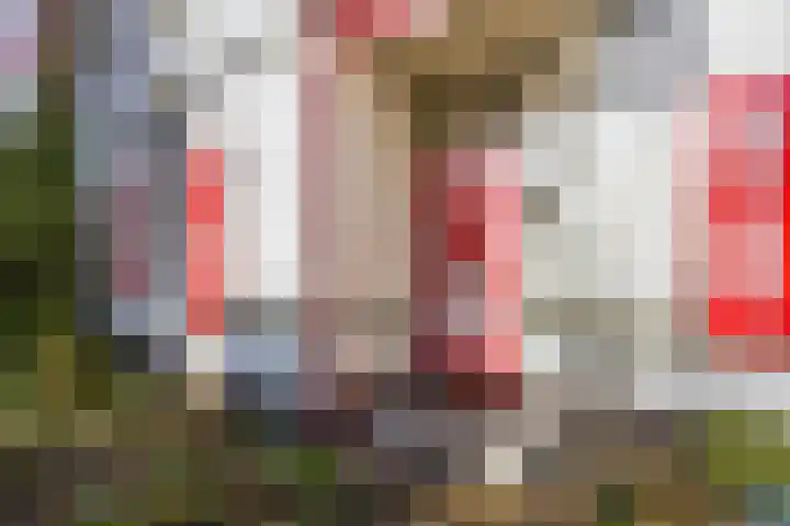 Theophile de Bockweg 1 Renkum thumbnail 4