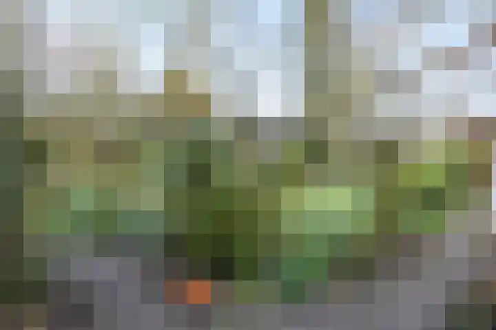 Theophile de Bockweg 1 Renkum thumbnail 50