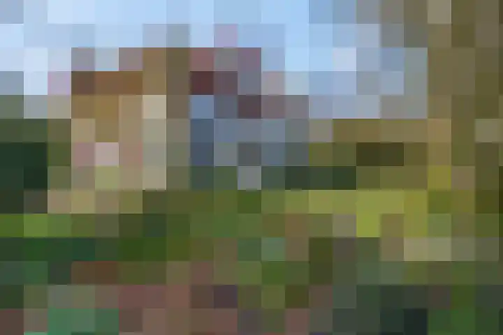 Theophile de Bockweg 1 Renkum thumbnail 62
