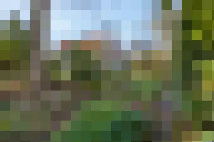 Theophile de Bockweg 1 Renkum thumbnail 63