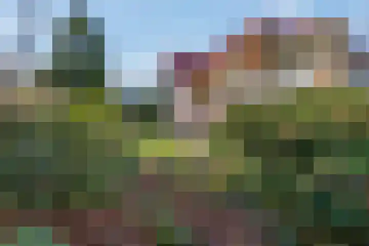 Theophile de Bockweg 1 Renkum thumbnail 64