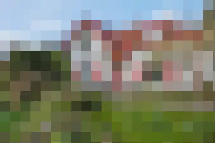 Theophile de Bockweg 1 Renkum thumbnail 66