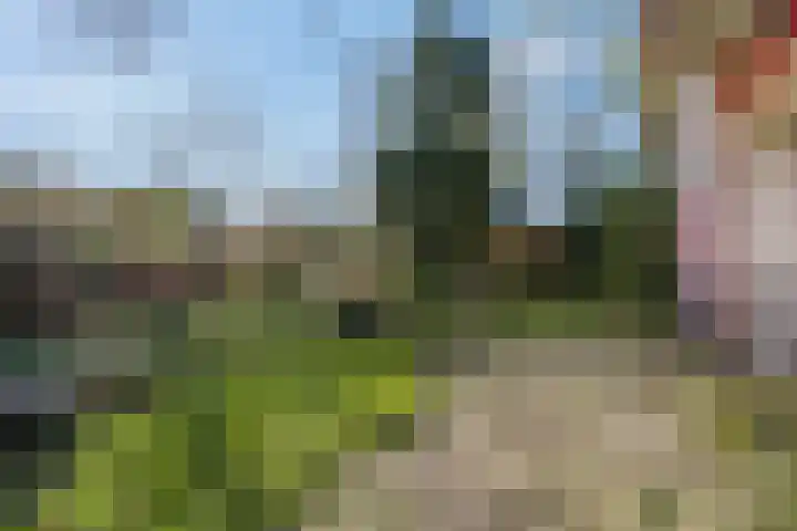 Theophile de Bockweg 1 Renkum thumbnail 72