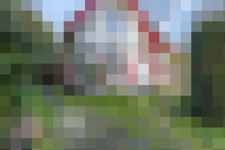 Theophile de Bockweg 1 Renkum thumbnail 75