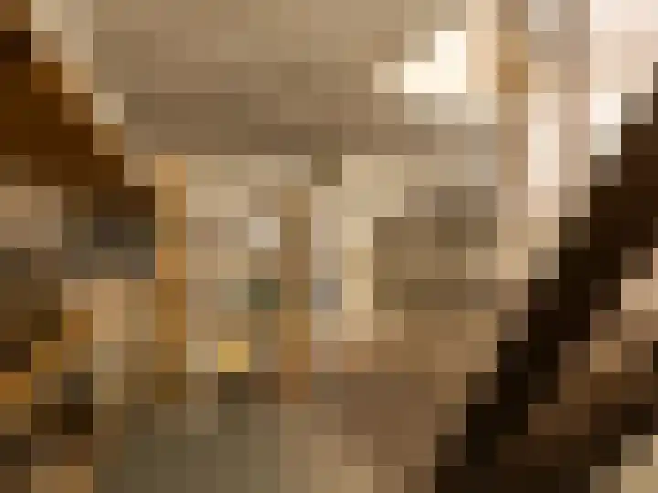 Theophile de Bockweg 12 A Renkum thumbnail 32