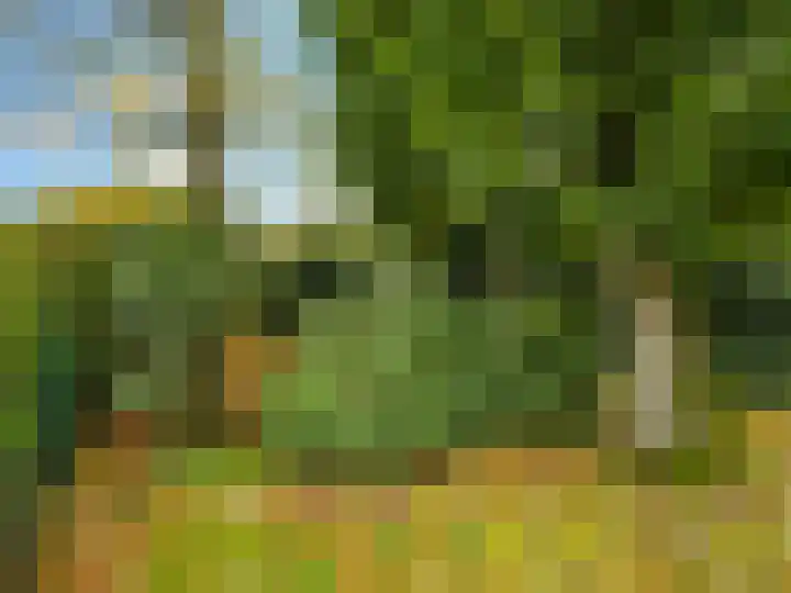Theophile de Bockweg 12 A Renkum thumbnail 35
