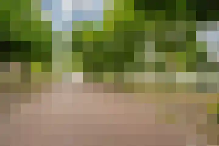 Theophilusstraat 1 1 Amsterdam thumbnail 34