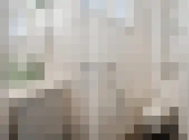 Theophilusstraat 1 1 Amsterdam thumbnail 4