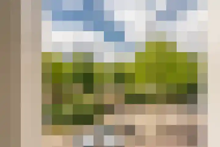 Theophilusstraat 1 1 Amsterdam thumbnail 5