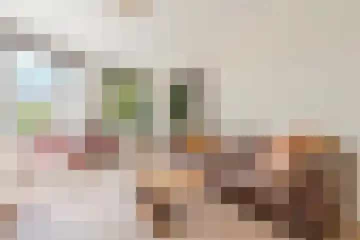Theophilusstraat 1 1 Amsterdam thumbnail 6