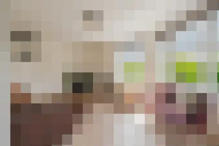 Theophilusstraat 1 1 Amsterdam thumbnail 8