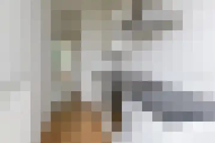 Theophilusstraat 13 1 Amsterdam thumbnail 10