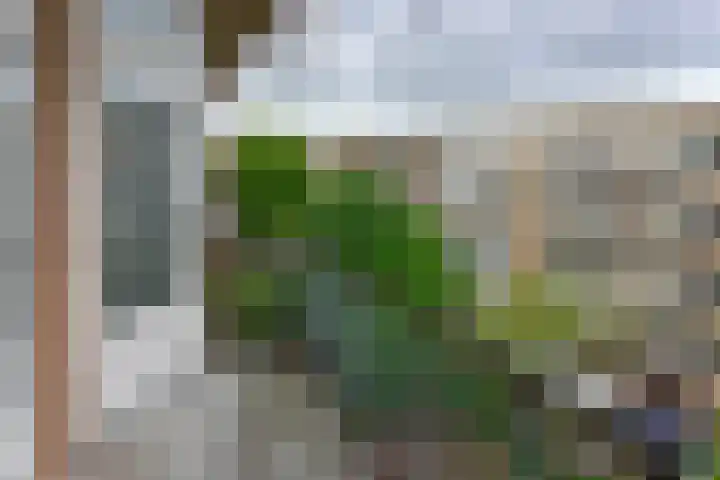 Theophilusstraat 13 1 Amsterdam thumbnail 14