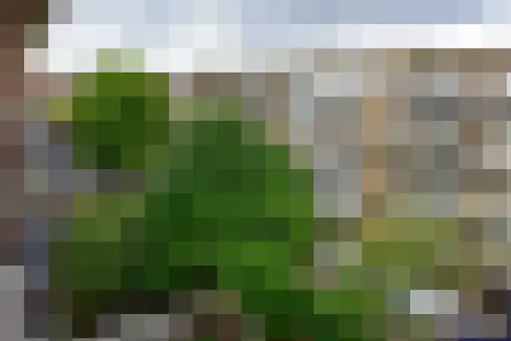 Theophilusstraat 13 1 Amsterdam thumbnail 15