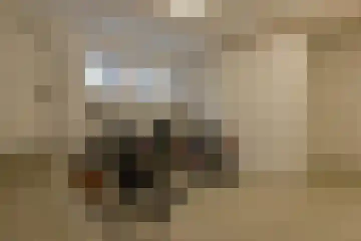 Theophilusstraat 13 1 Amsterdam thumbnail 17