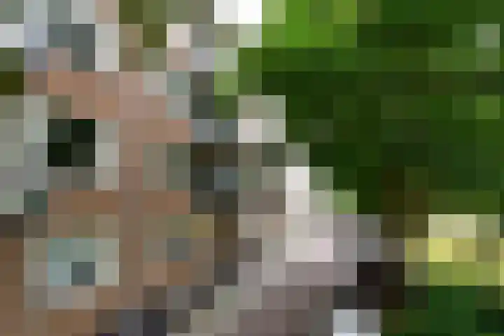 Theophilusstraat 13 1 Amsterdam thumbnail 19
