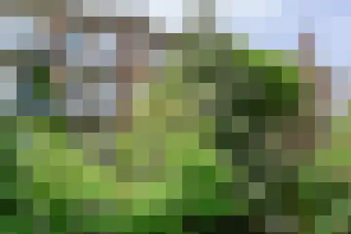 Theophilusstraat 13 1 Amsterdam thumbnail 21