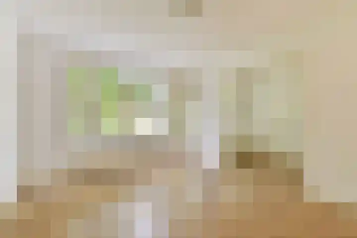 Theophilusstraat 13 1 Amsterdam thumbnail 4