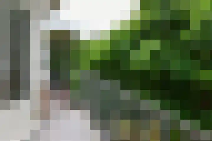 Theophilusstraat 13 1 Amsterdam thumbnail 6
