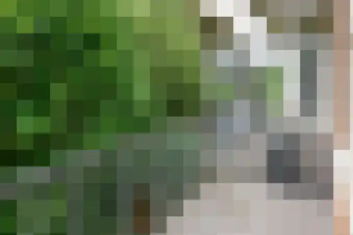 Theophilusstraat 13 1 Amsterdam thumbnail 7