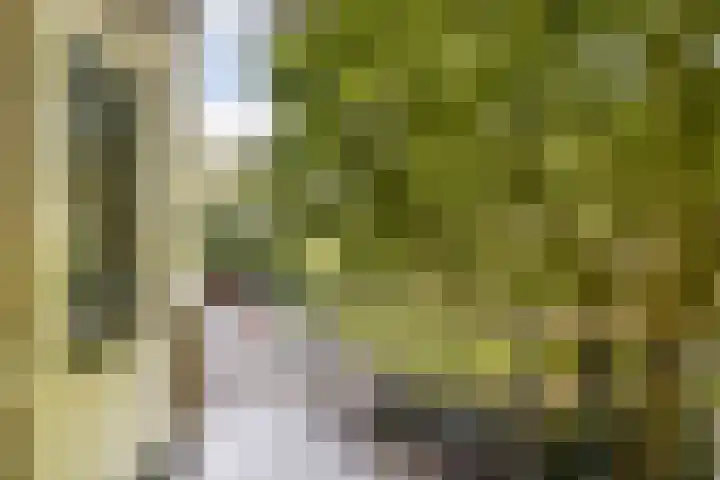 Theophilusstraat 13 1 Amsterdam thumbnail 7