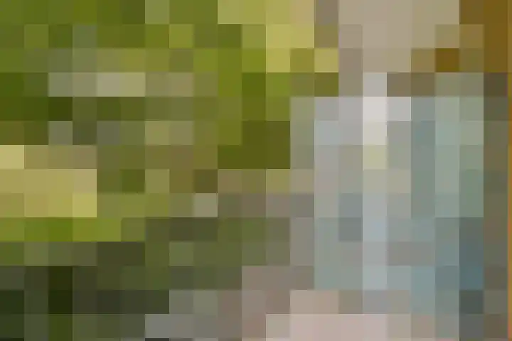 Theophilusstraat 13 1 Amsterdam thumbnail 9